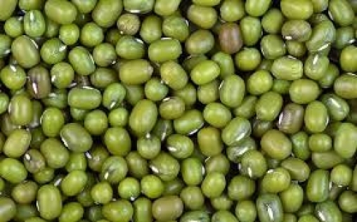 GREEN MUNG BEAN