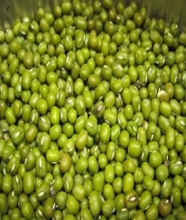 GREEN MUNG BEAN